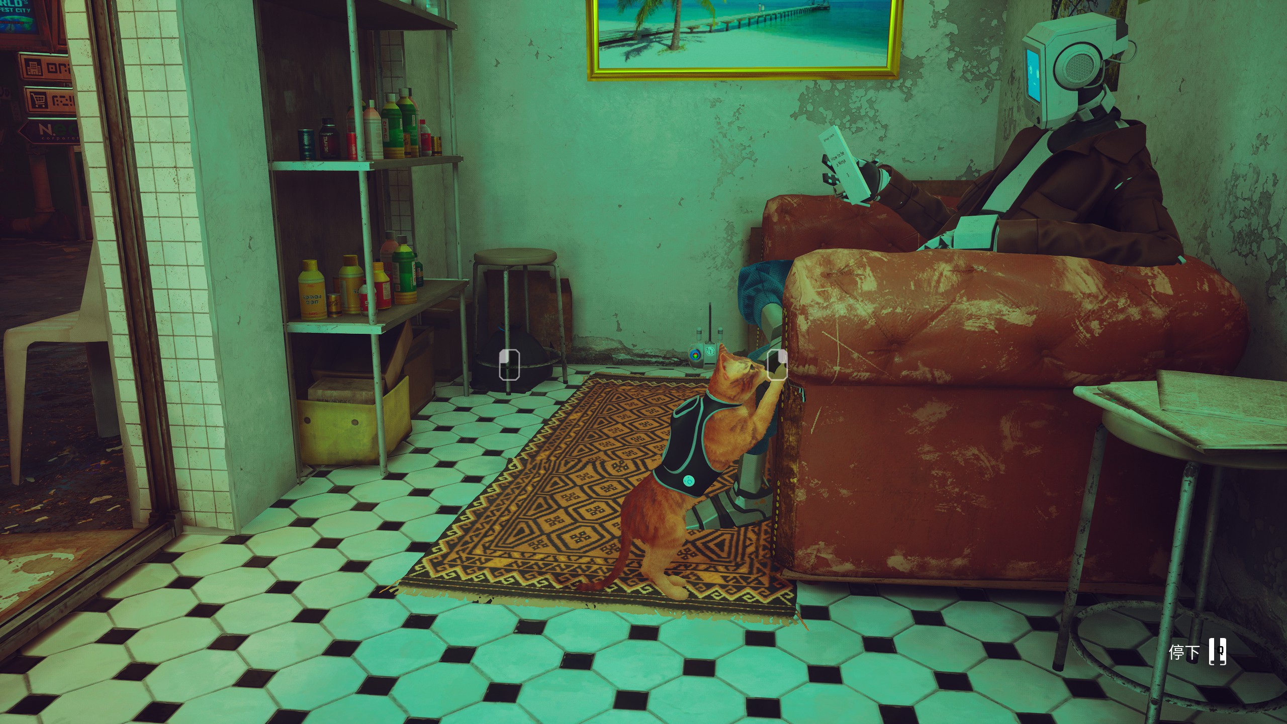 stray新游戏,stray这个游戏怎么样