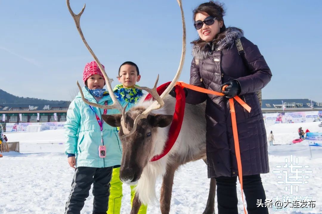 假期该怎么玩,假期怎样玩才好玩