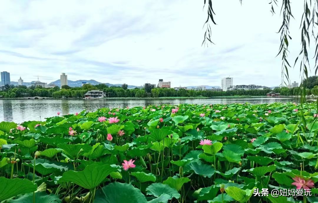 周末孩子游玩济南攻略,济南旅行暑期遛娃的清凉之地