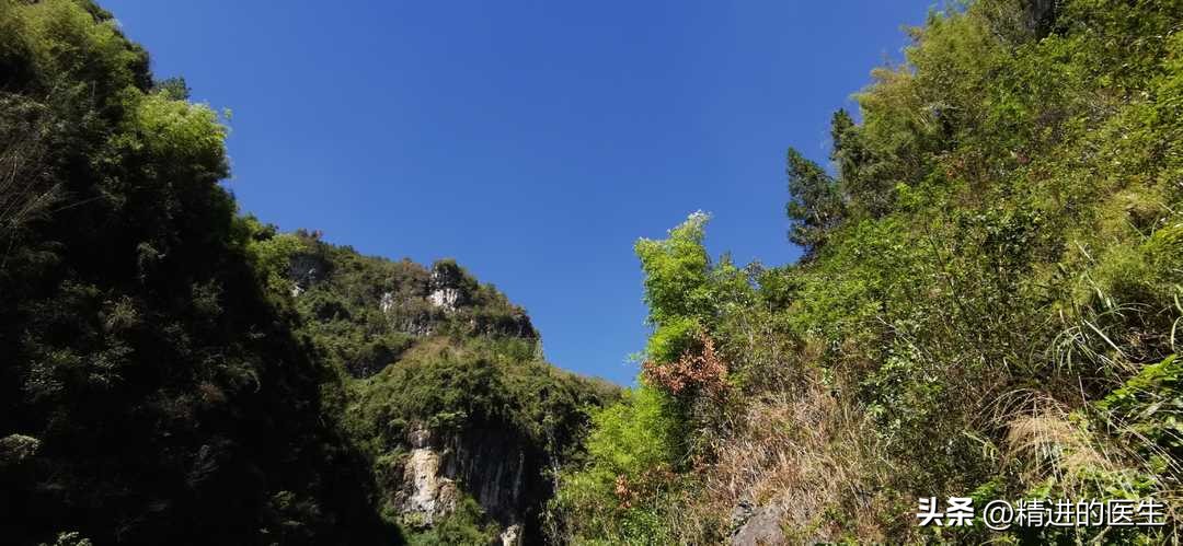 血型实验报告结果分析,血型实验视频