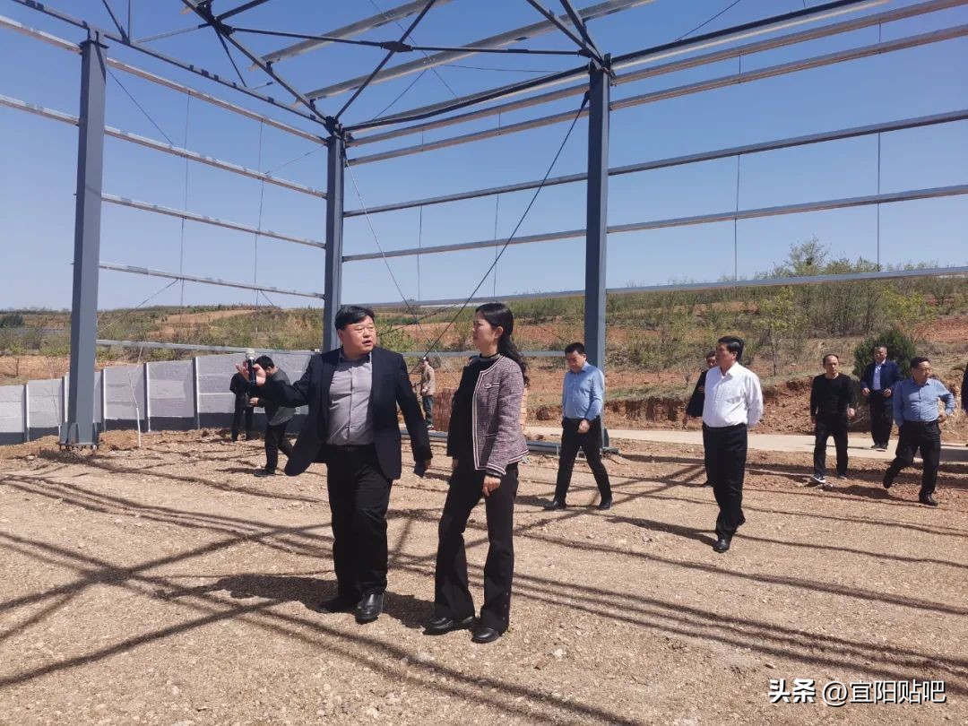 宜阳县高村镇乡村振兴,宜阳县美丽乡村建设考察团