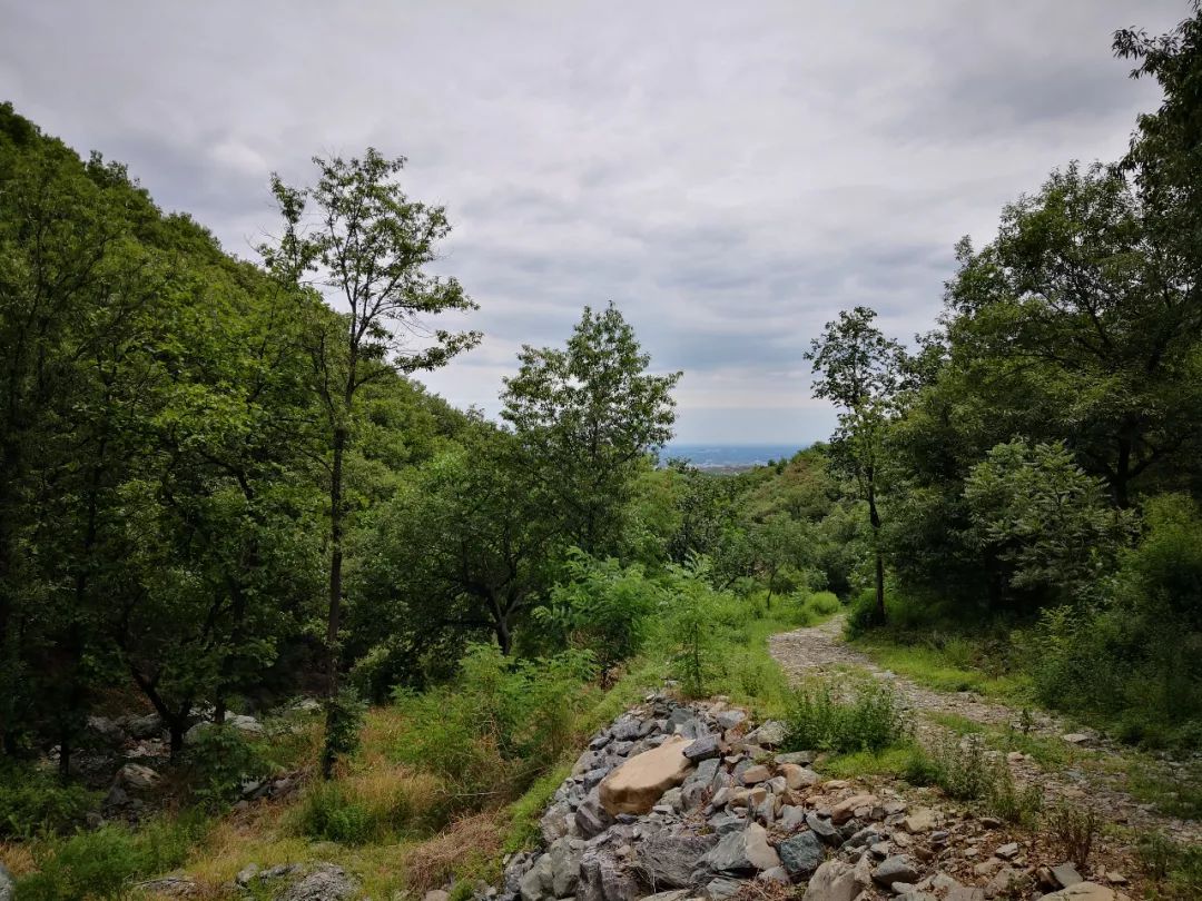 房山金陵遗址公园开放了吗,房山金陵遗址公园