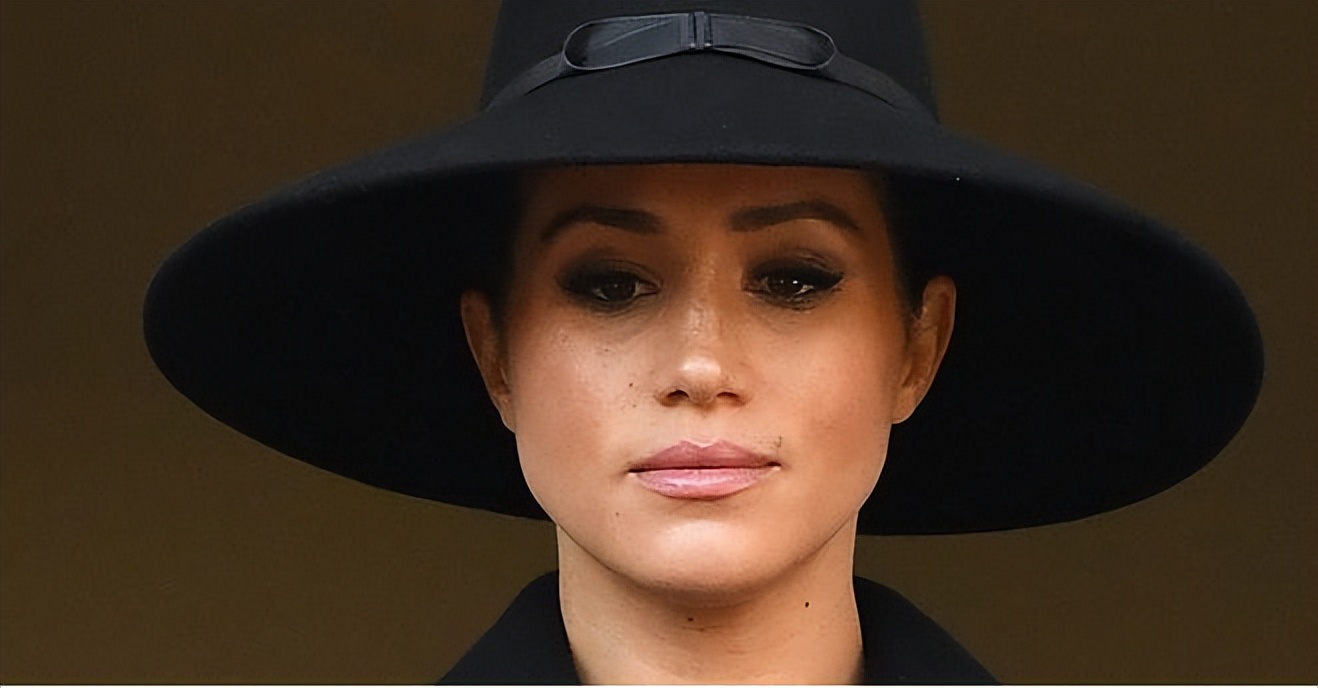 梅根被气走了,梅根卡米拉最新视频