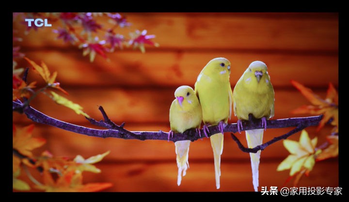 优派q20pro测评,优派q20价格