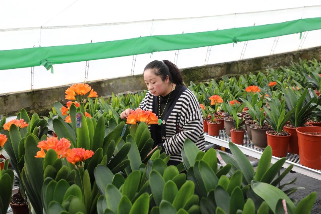乡村振兴十二师,农旅一体化乡村振兴