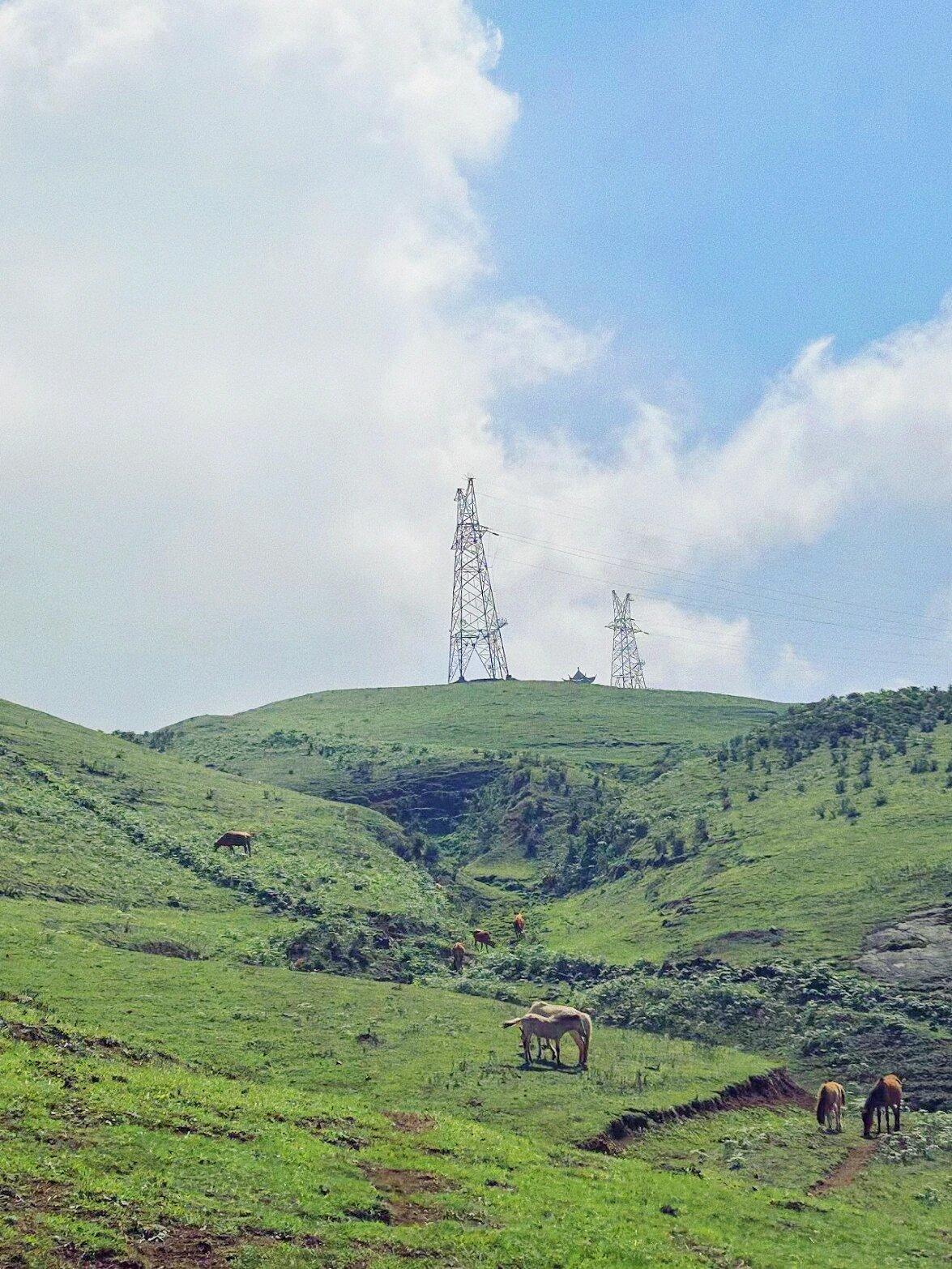 7-8月比较凉爽适合旅游的最佳地方,7月份旅游最凉快的地方