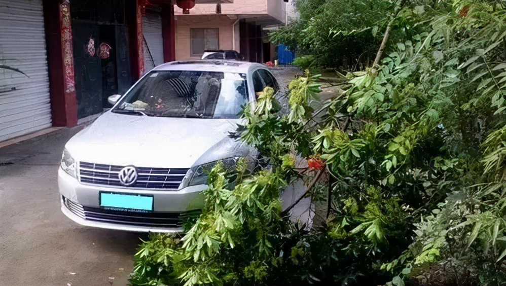 保险解决人生五大问题,从保险看什么是幸福
