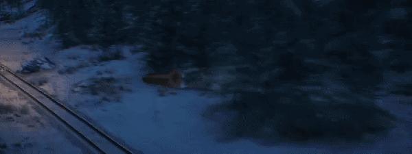 东北狙王,东北狙王大结局