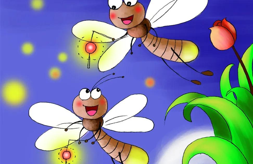 萤火虫的秘密免费观看,萤火虫的秘密介绍