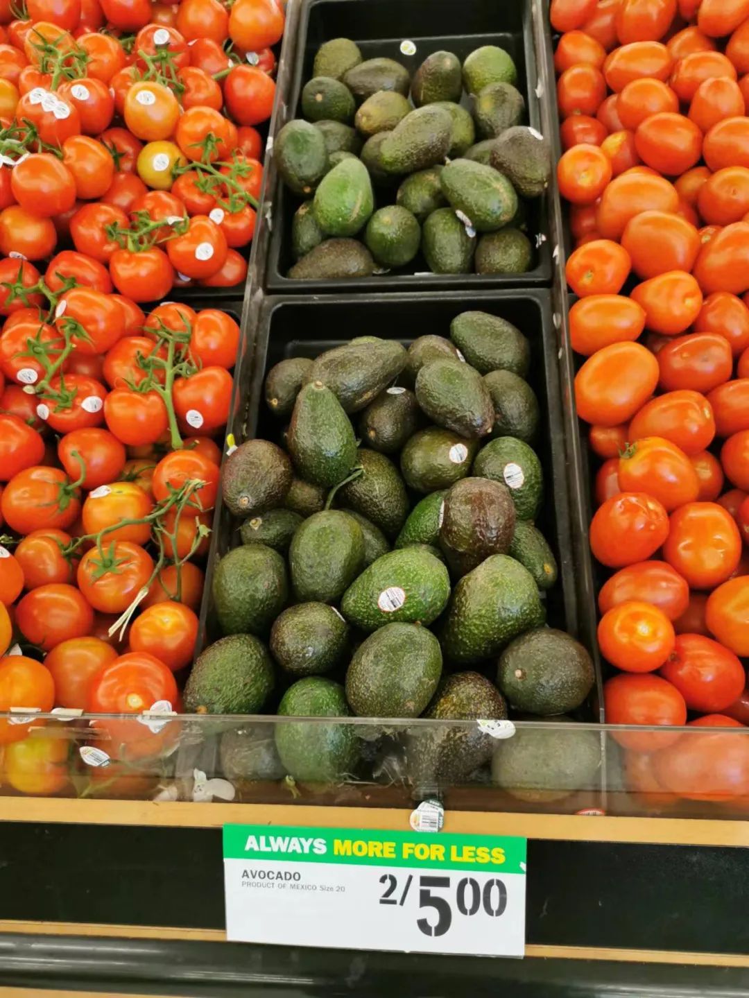 移民多伦多需要什么,移民多伦多做什么