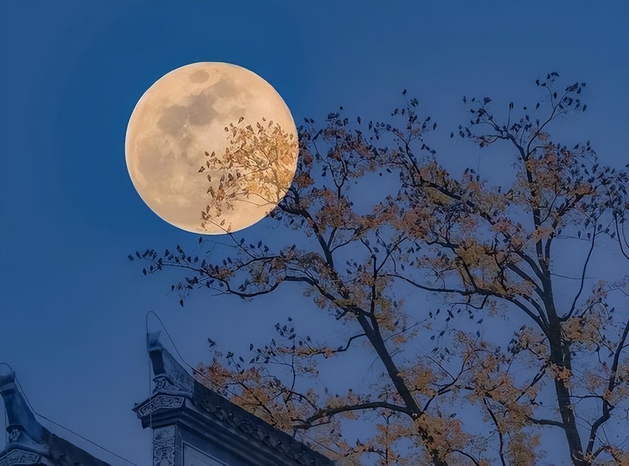 一首苏轼的经典诗词水调歌头中秋,苏轼20首经典诗词中秋节