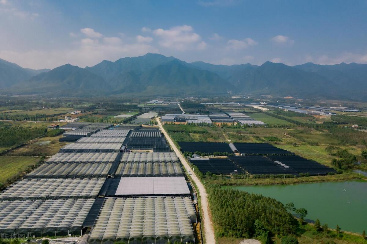 中国第一的农业大省,中国蔬菜大省山东