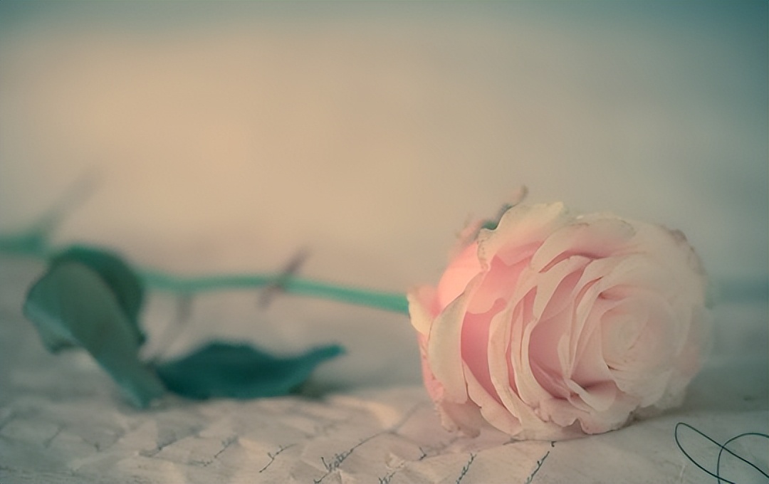 朋友相处之道的经典语录,做人对朋友最基本的原则