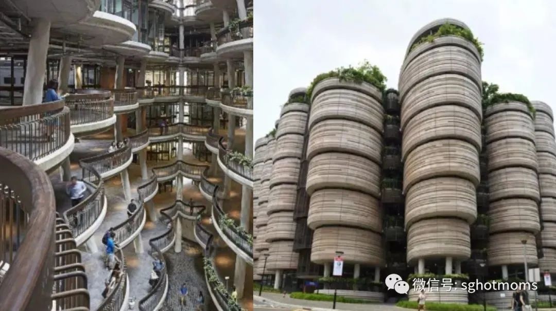 新加坡遛娃免费景点推荐一下,新加坡周末遛娃