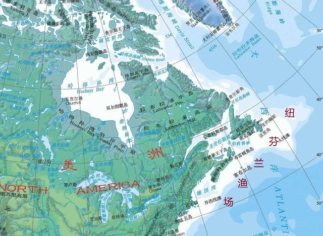 大西洋鳕鱼数量,大西洋鳕鱼现状