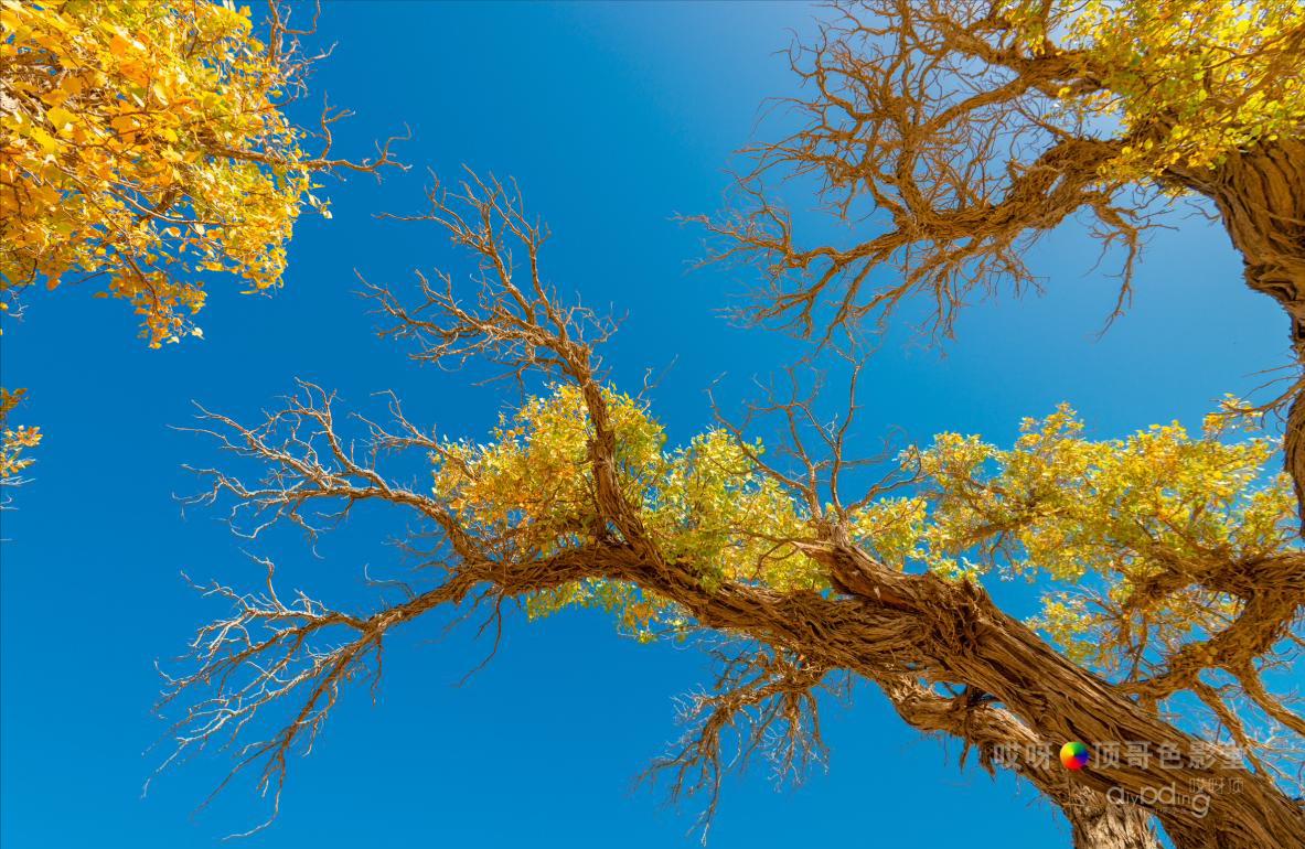 女司机带娃去新疆自驾游,带着女司机自驾游兰州