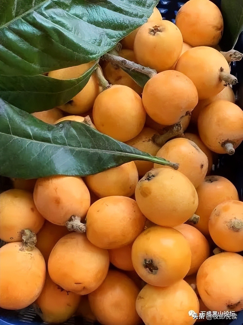 切，没情调，十足的经济实用男