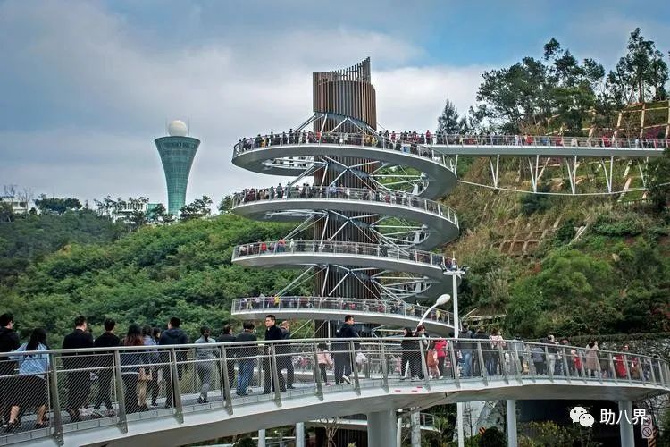 厦门思明区打卡景点,厦门南湖公园最新网红打卡景点