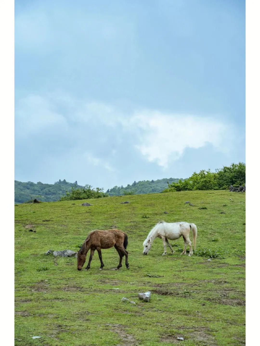 北纬52°1314，这个“为爱而生”的地方，连空气都是甜的