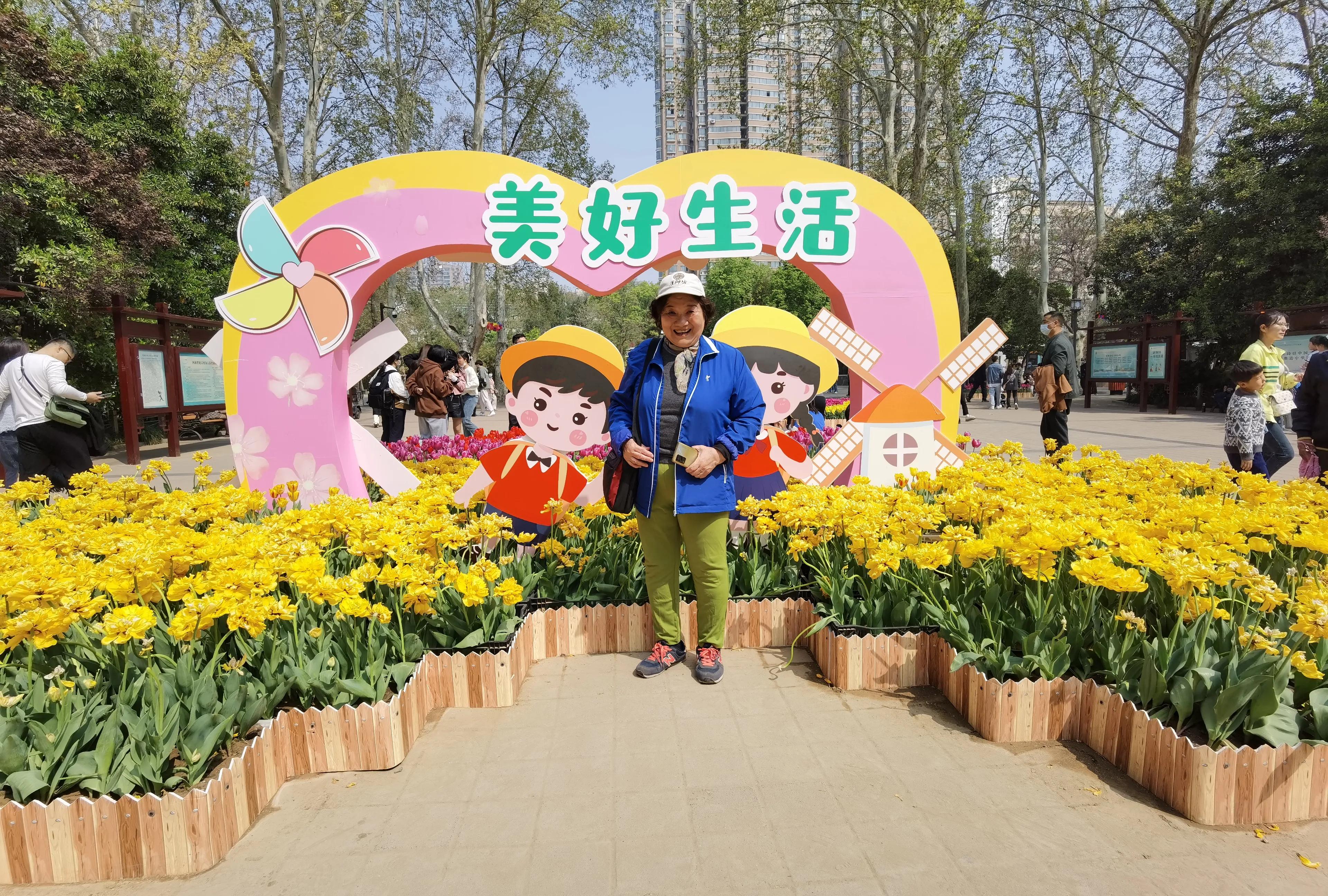 郁金香花语送长辈,郁金香花语永恒的爱与祝福