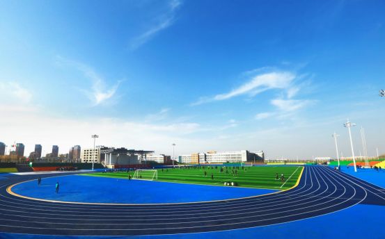 塑胶跑道性能,塑胶跑道运动场性能优势