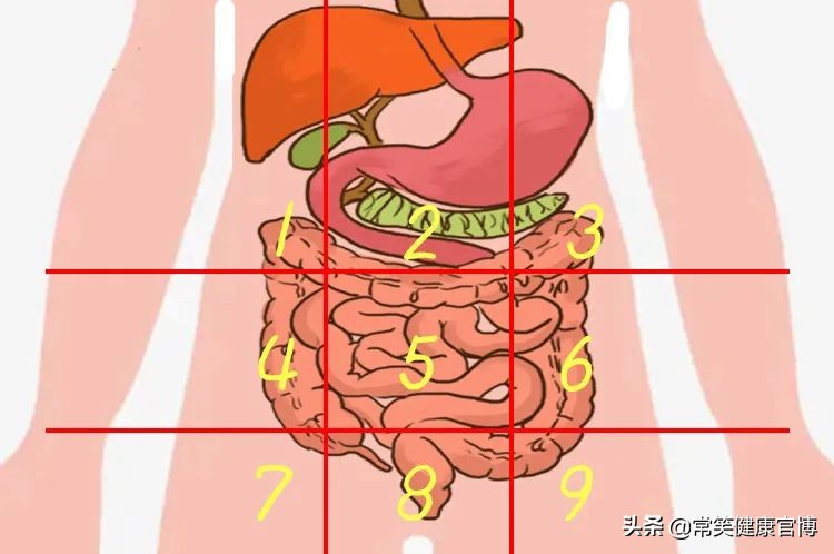 肚子疼胀痛部位对照表,肚子疼是哪里有问题一张图告诉你