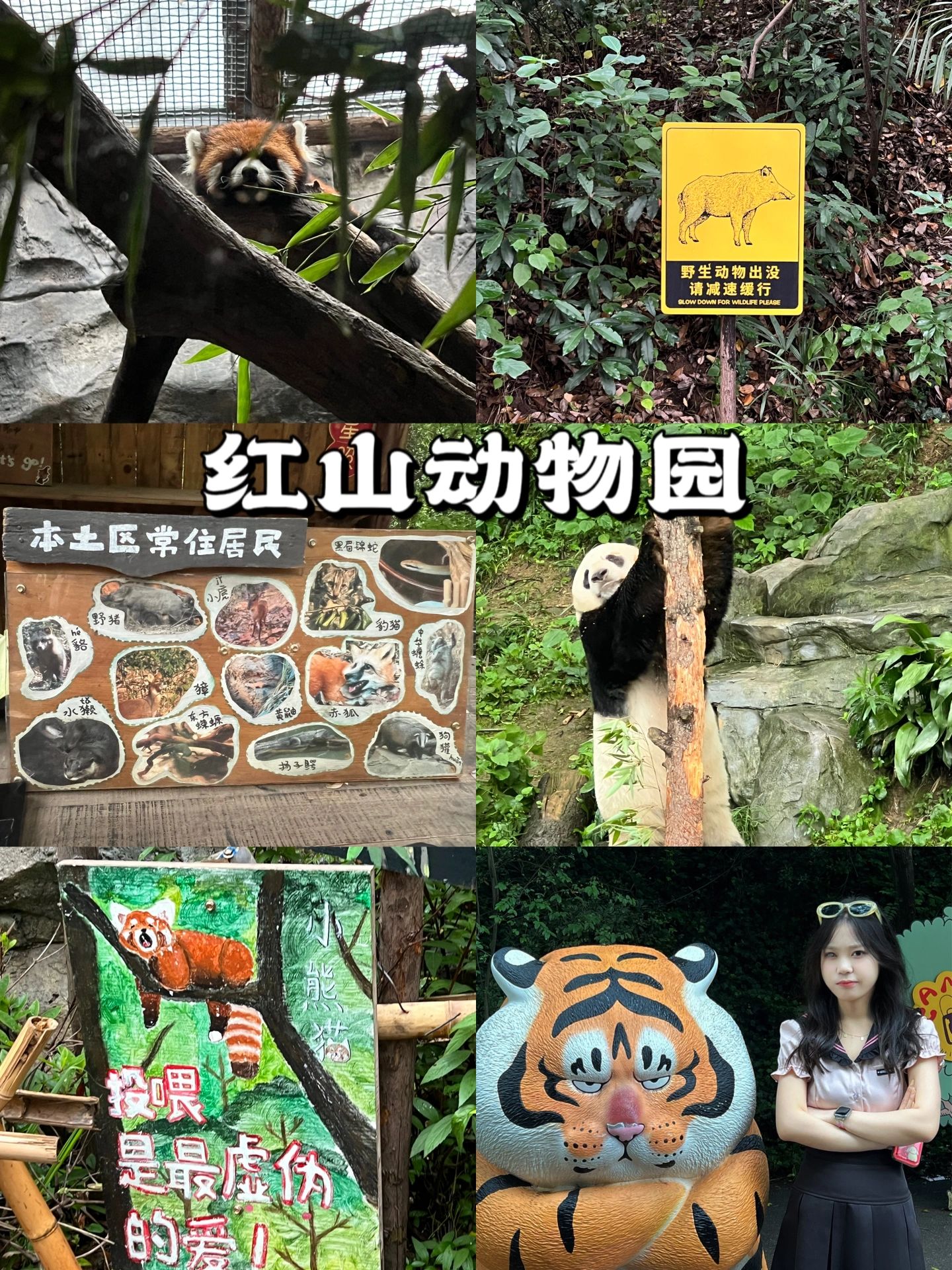 南京旅游攻略超详细穷游,南京旅游攻略自驾游