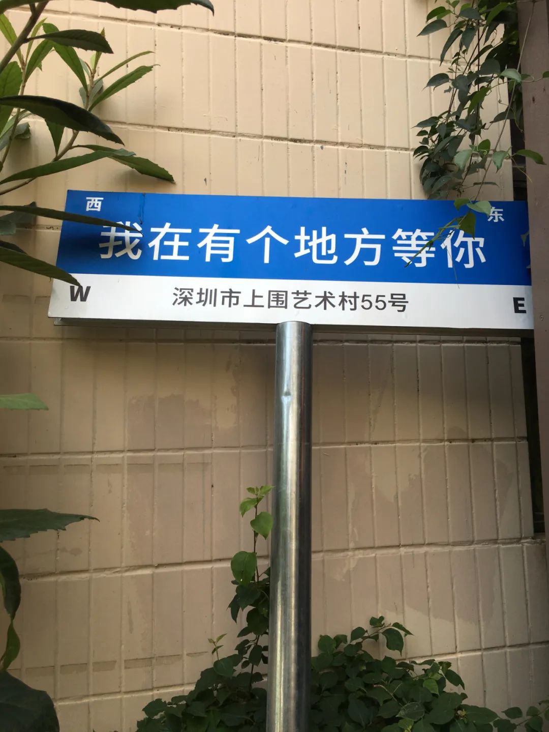 《旭光骑行深圳》第22站——龙华区观湖街道