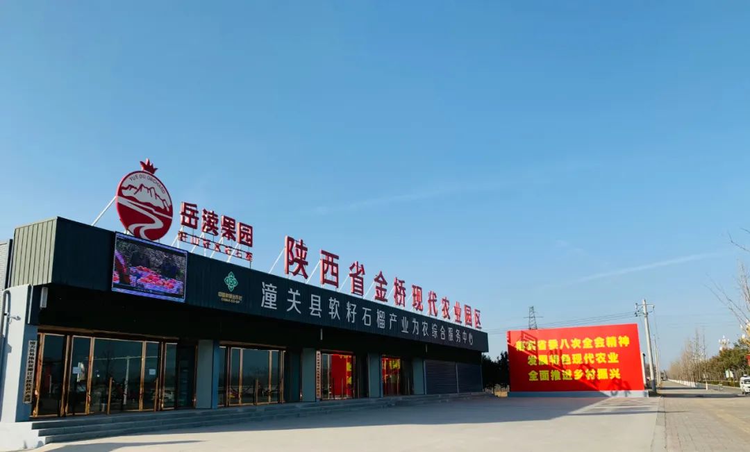 潼关县政府信息公开,潼关县政府通知