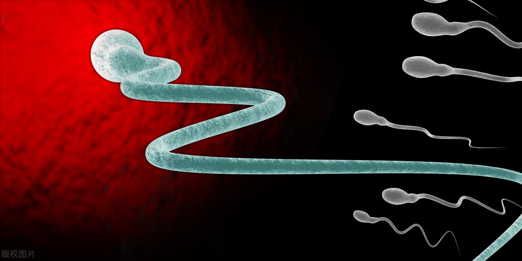 精子进入人体1小时变化,精子进入人体24小时变化