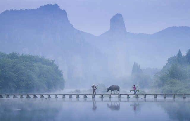 都读对你就是大师
