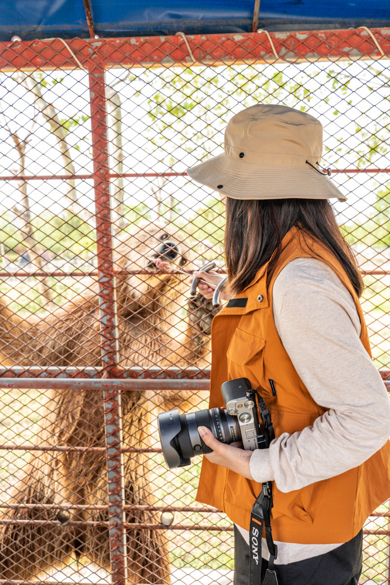 宿州两日游,宿州旅游攻略三日游