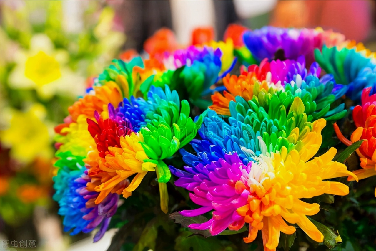 一花一世界,一花一叶送祝福,有花陪伴最幸福;有叶牵挂更美好