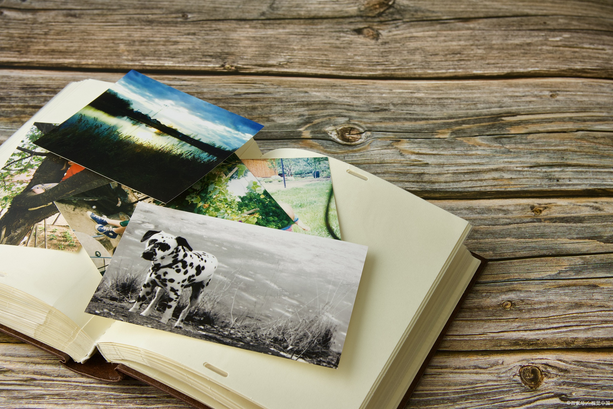 2023年11月15日,你的时光相册将停止运营,这是你最后的备份机会