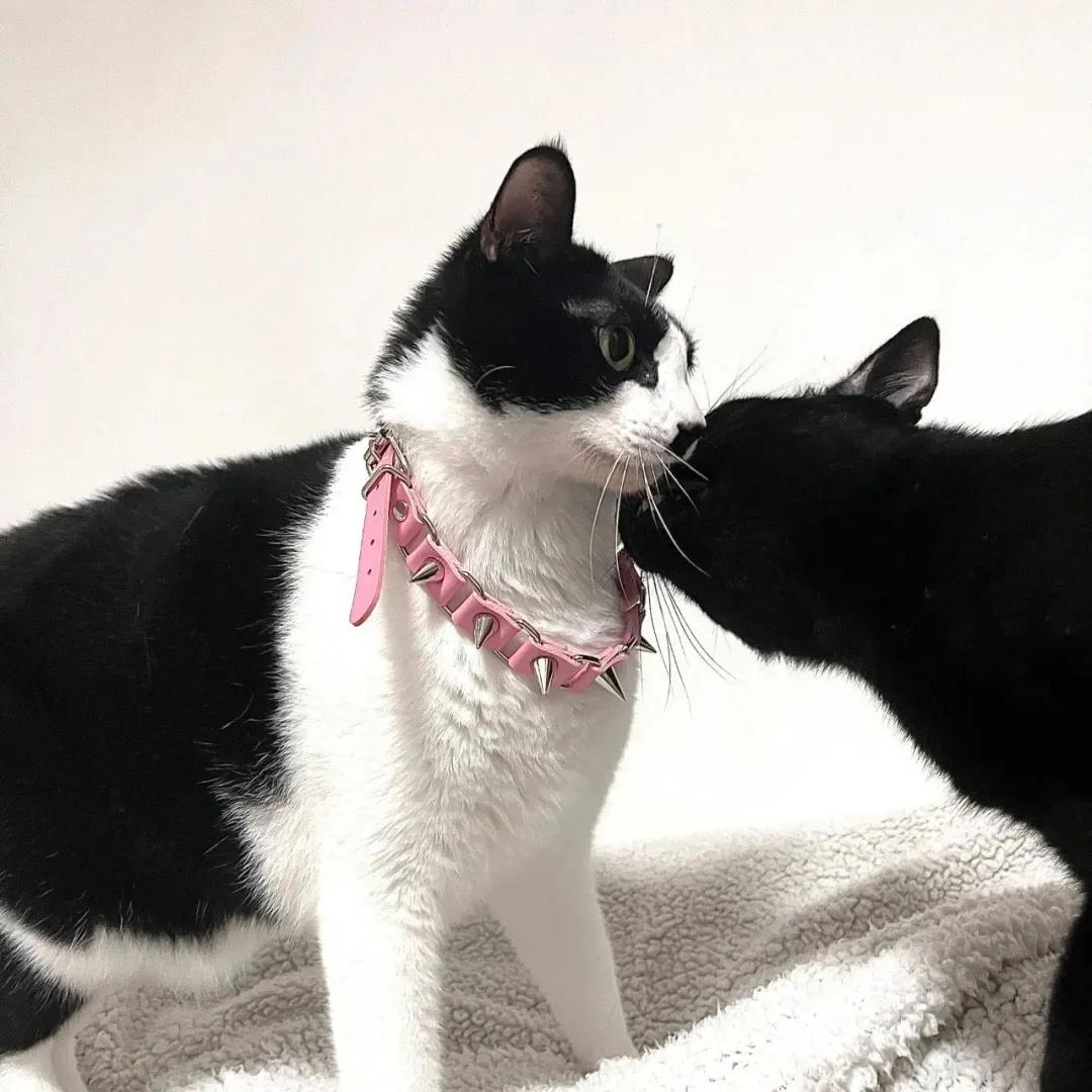 可爱的动漫情侣头像,情侣头像可爱小盆友