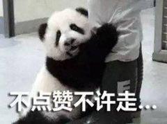 中国人适合什么牛奶,中国人喝什么牛奶好