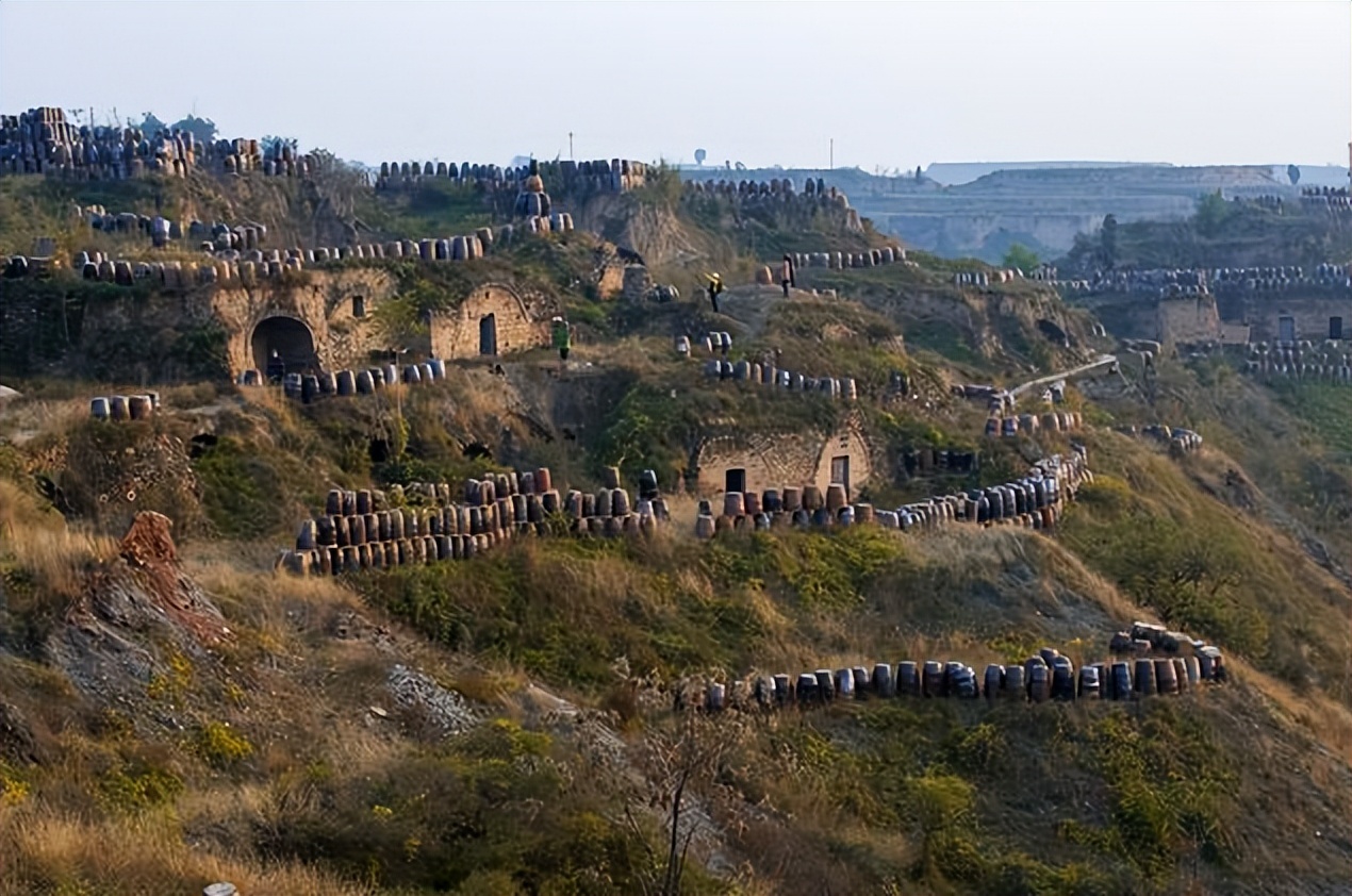 澄城老哥怎么样,澄城老哥由来