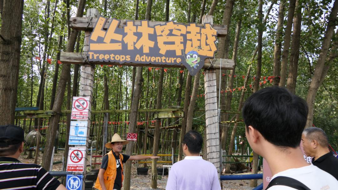 农庄网红项目大全,10万农庄创意网红项目