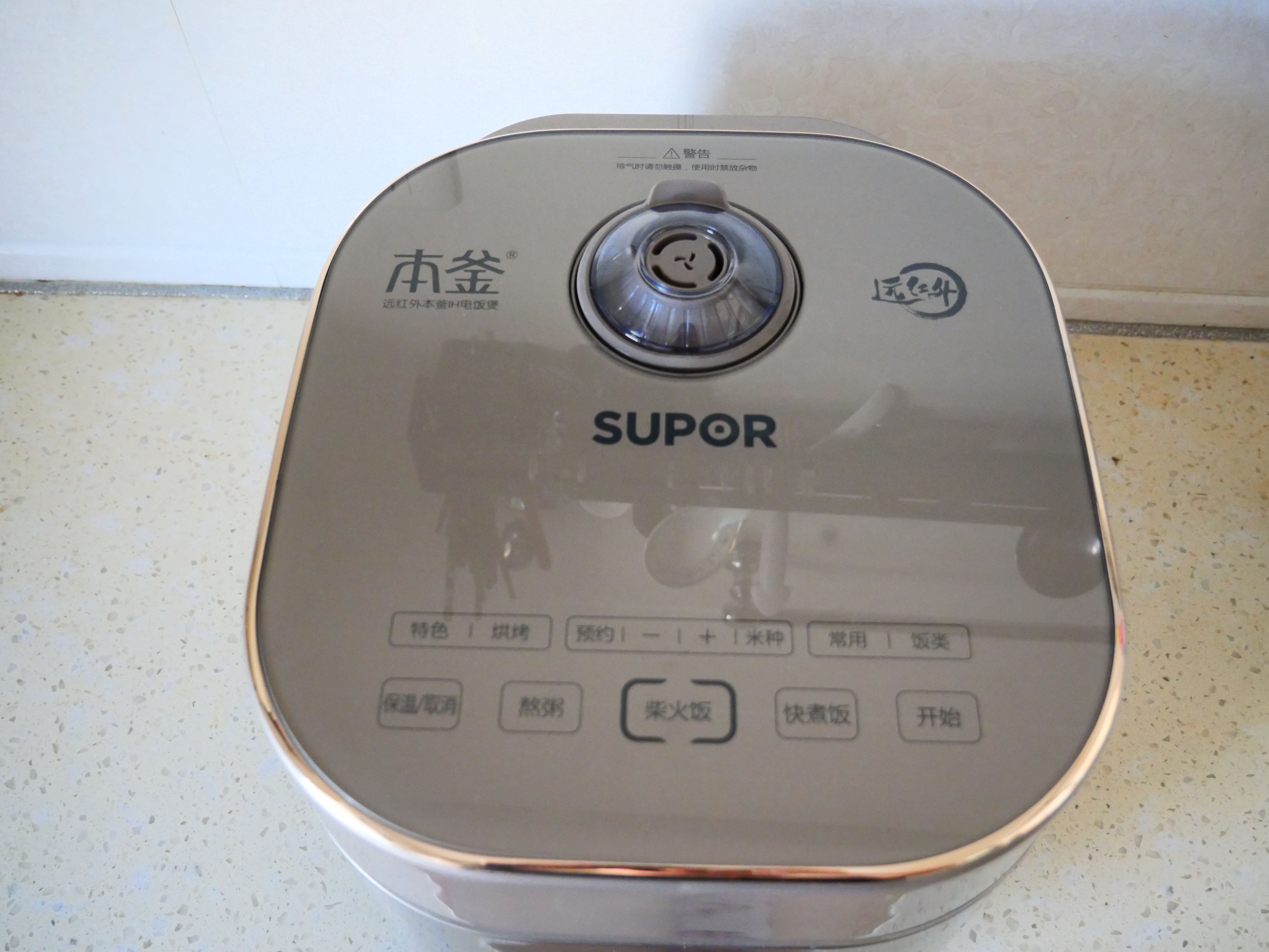 可以做饭的简单电饭煲,能用电饭煲做的简单的饭