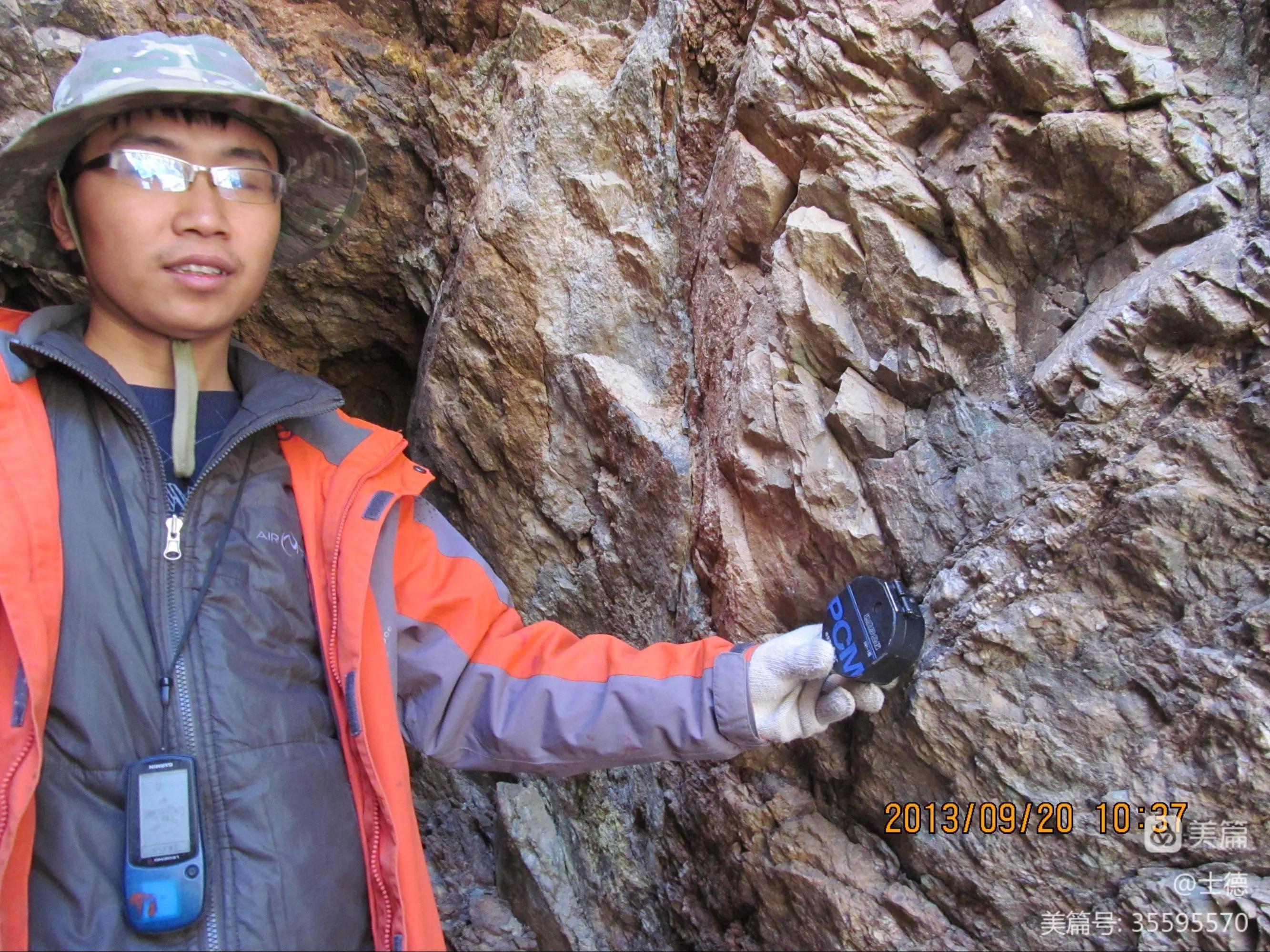 最高的马蜂窝,神奇的马蜂窝