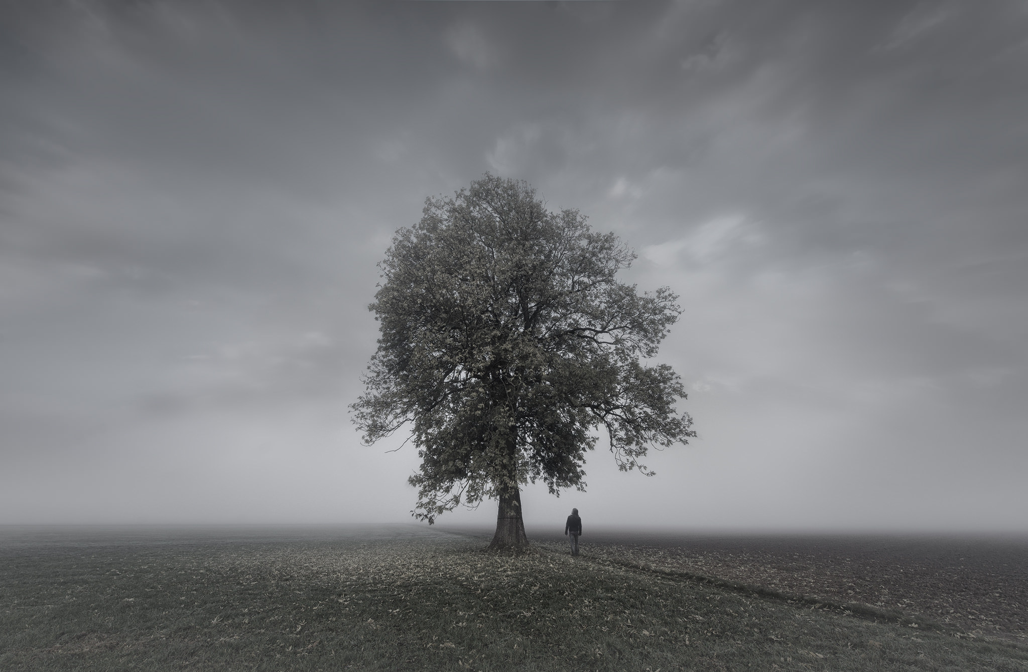 摄影五大景别简单介绍,风景摄影深度解析