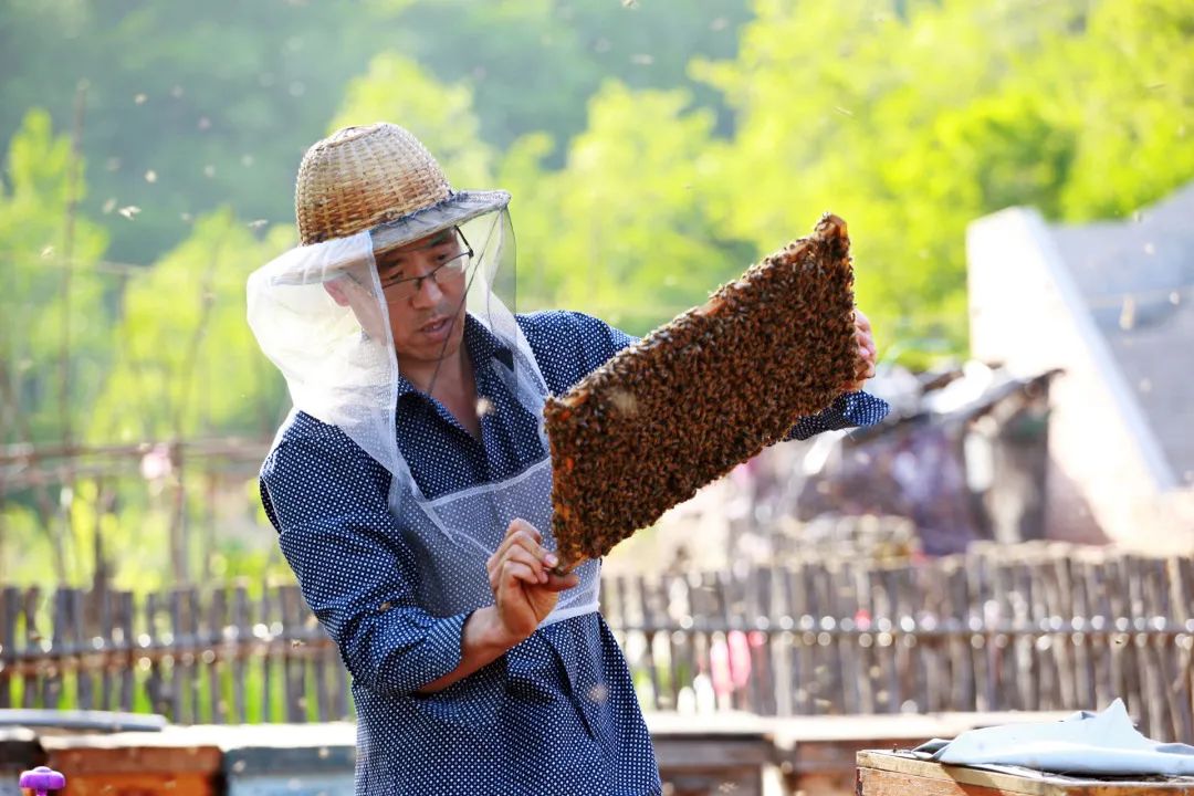 迎接党的20大美术作品,喜迎二十大乡村摄影展