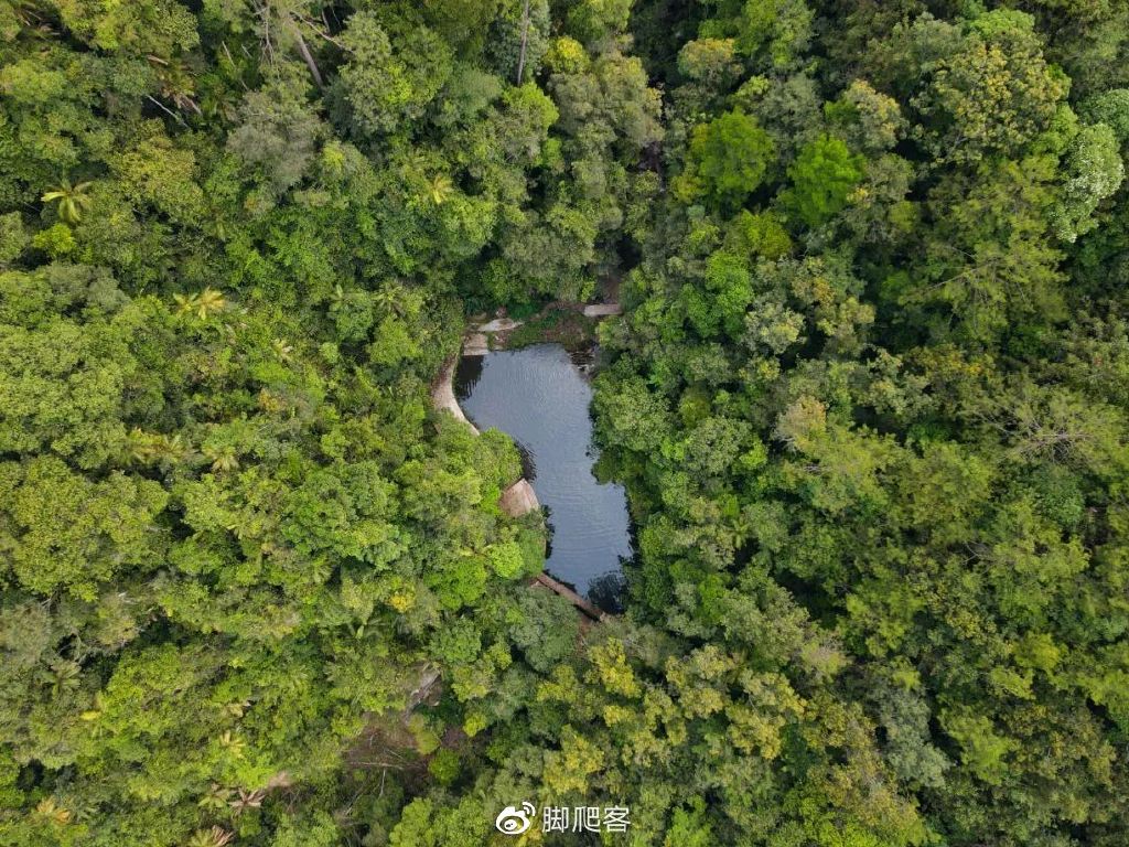 自然保护区志愿者申请,生态文化保护志愿者招募