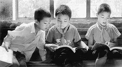 我的动物朋友小学四年级下200字,小学下大雨