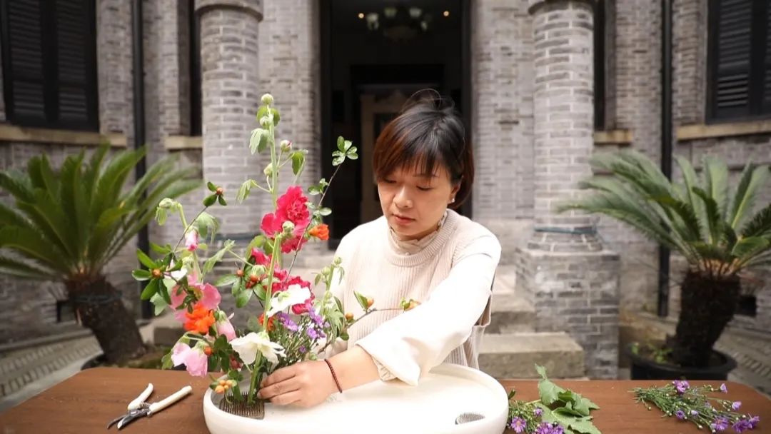 二十四节气花图文,二十四节气谷雨国花盛开的季节