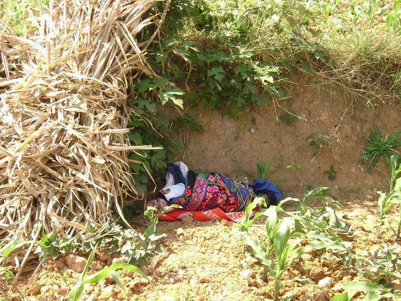 05年四川8岁白血病女孩不愿拖累养父，悄悄写下：自愿放弃治疗