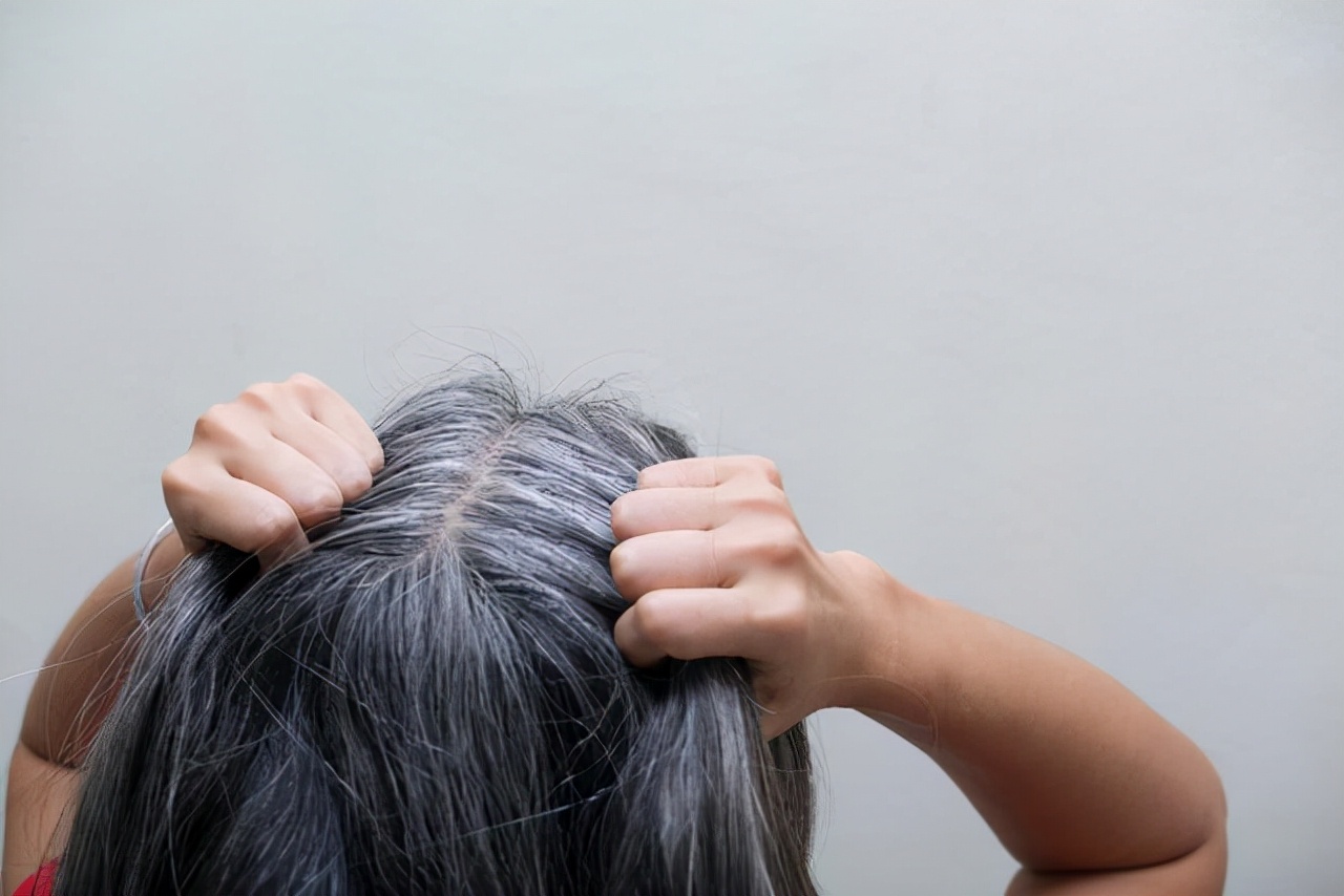 长白头发对我们的健康来说是一件好事？不妨听听哈佛研究怎么说的