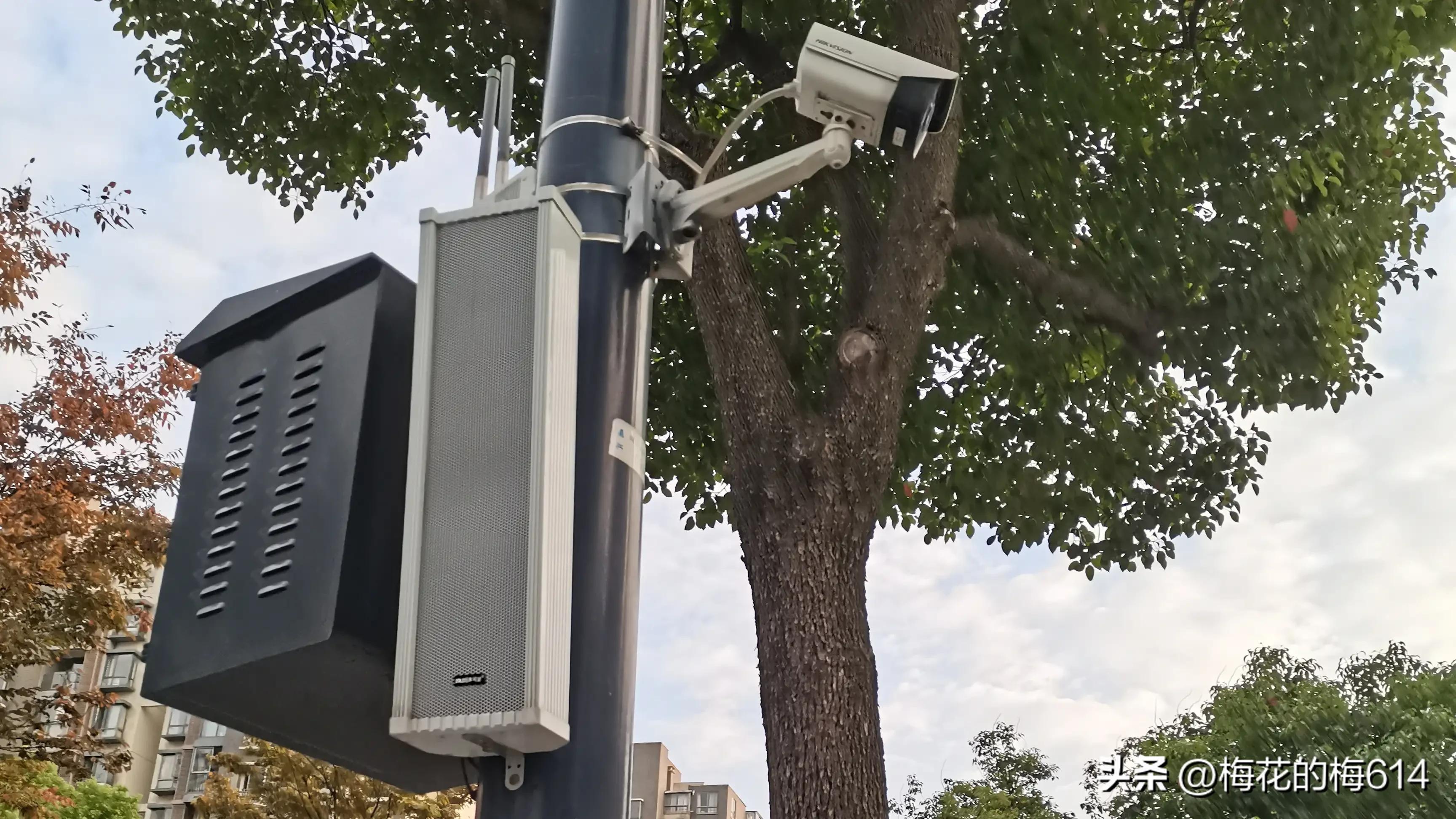 给了一个商家差评总接骚扰电话,怎么看待网购给差评被骚扰