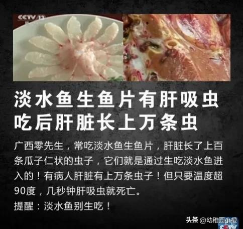 女子体内排出4米长绦虫是什么,宁德女子体内排出4米长绦虫