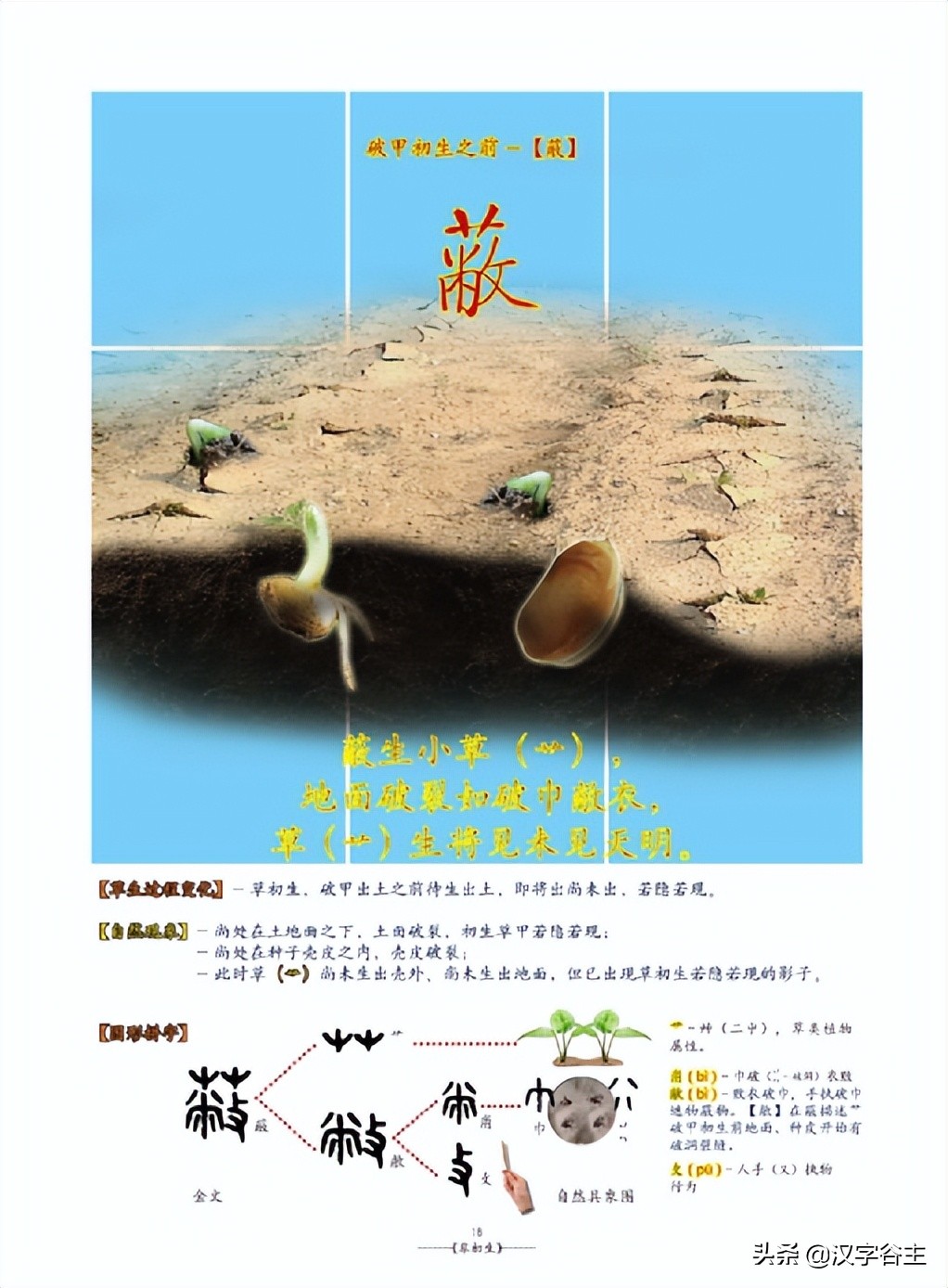 姹夊瓧妞嶇墿,鑽夋湪姹夊瓧